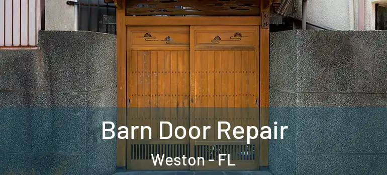  Barn Door Repair Weston - FL