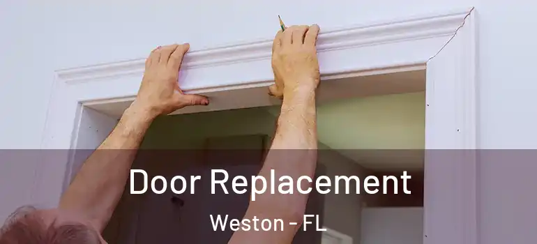  Door Replacement Weston - FL