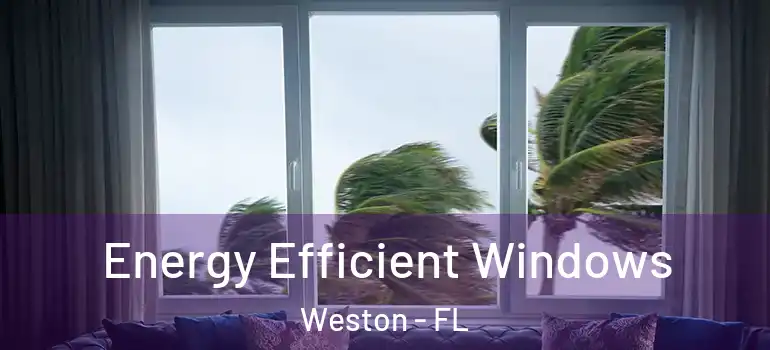  Energy Efficient Windows Weston - FL