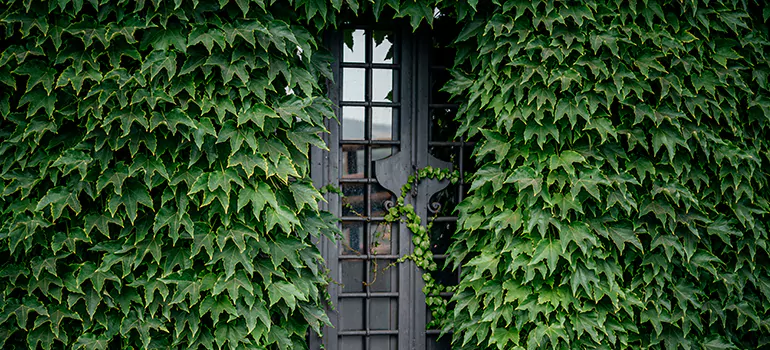 Garden Gate Repair in Weston, FL