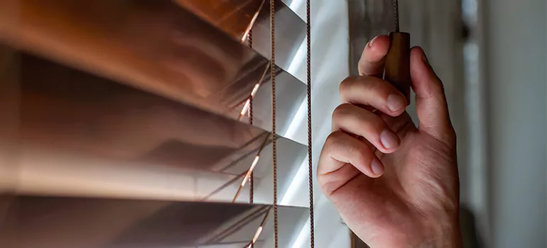 Double Roller Blinds in Weston, FL
