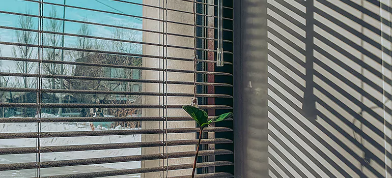 Commercial Window Blinds in Weston, FL