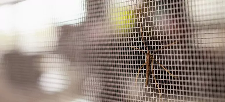 Repair Mosquito Mesh For Windows in Weston, FL
