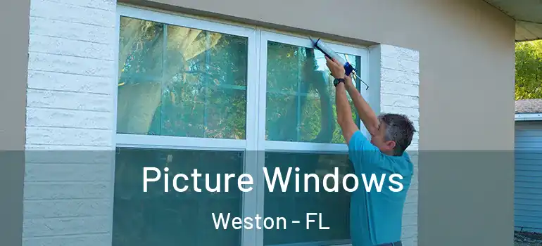  Picture Windows Weston - FL