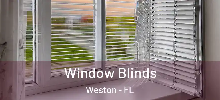  Window Blinds Weston - FL