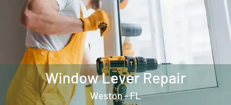  Window Lever Repair Weston - FL