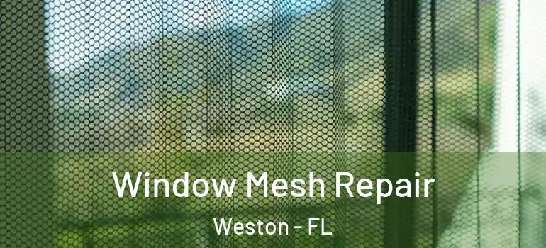  Window Mesh Repair Weston - FL