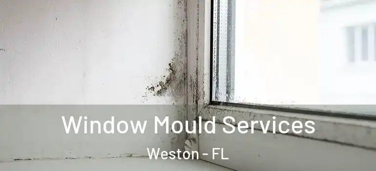  Window Mould Services Weston - FL